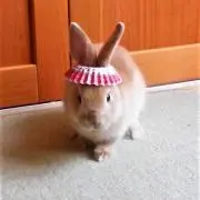 ちひろ