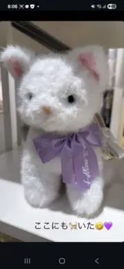 みんみんぜみの画像