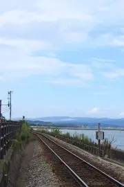 mysの画像