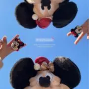 Renaの画像