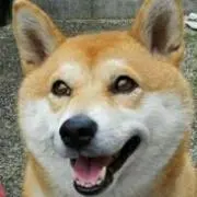 Nao Iwaの画像