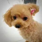 ⭐️プロフ必読の画像