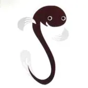 うなぎ