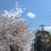 666の画像