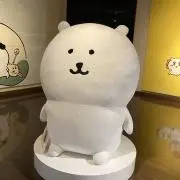 だぁちゃんの画像