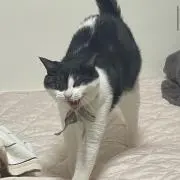 なおおおの画像