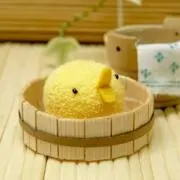 ひよの画像