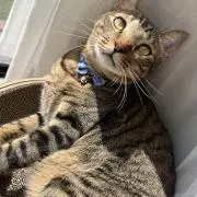 しお【代行業者NG】の画像