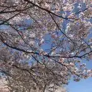 levarie※プロフ必読の画像
