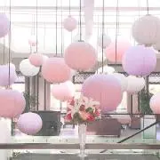 マロンの画像