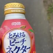 ネクターの画像