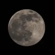 むんの画像