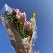 なーちゃん