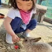 もっちの母の画像
