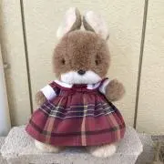 しょーにゃんの画像