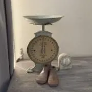 メグメグの画像