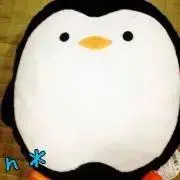 ごん"プロフィール必読の画像