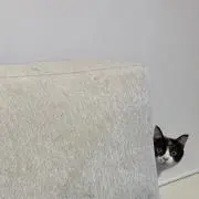 そうの画像