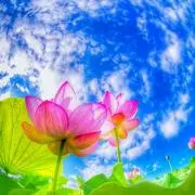 あすか　必ずプロフ読んでください!