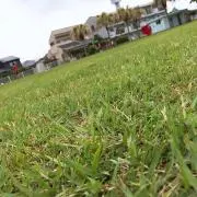 りゅーいち