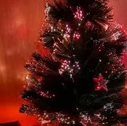 Light Gift