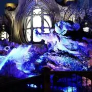 すーの画像