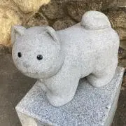 ちっちの画像