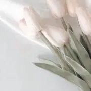 あたん