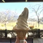 梅干し( ◠‿◠ )の画像