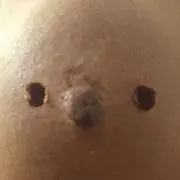 むんの画像