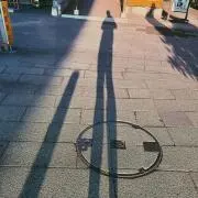 ハルの画像