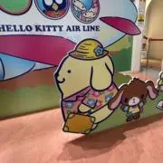 まるちゃんの画像