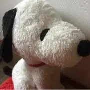 ☆すぬーぴーmama☆