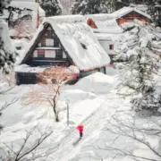 Yuki