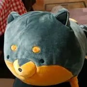 つばさ