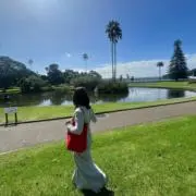 MAの画像