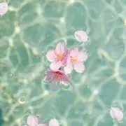 サクの画像