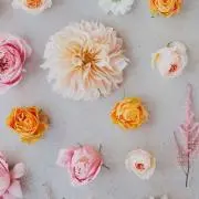 mari♡値段交渉OK