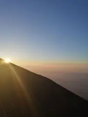 しゃむの画像
