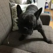 RicoRicoの画像