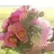 yua☺︎の画像