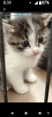 ハルち