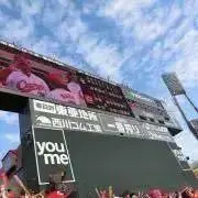 しょこやま