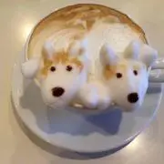 Kーの画像