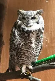 ミカンイロの画像
