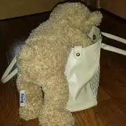 やまちゃんの画像