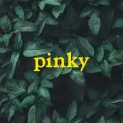 Image of 古着 pinky