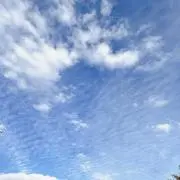 くまkoの画像
