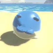 こんぶの画像