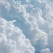 にこまる